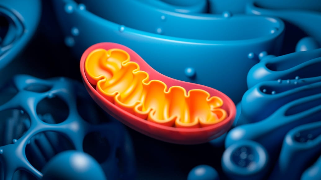 Mitochondria peptides therapy MOTS-C Medical Cosmetic Washington dc bwteeen Georgetown and Dupont Circle serving Arlington Virginia